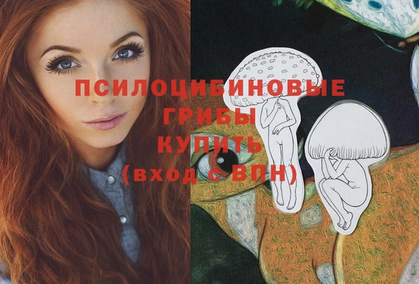 ешки Козловка